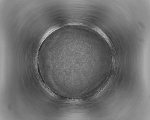 X0000115131002200911101643