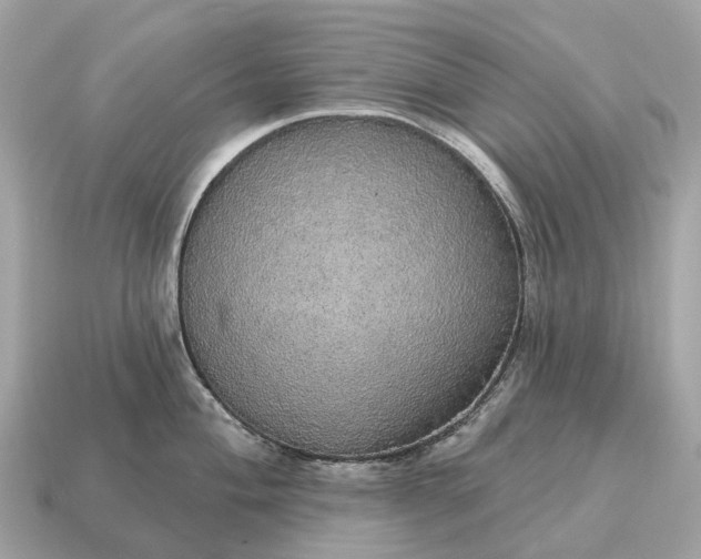 X0000115131004200911101643