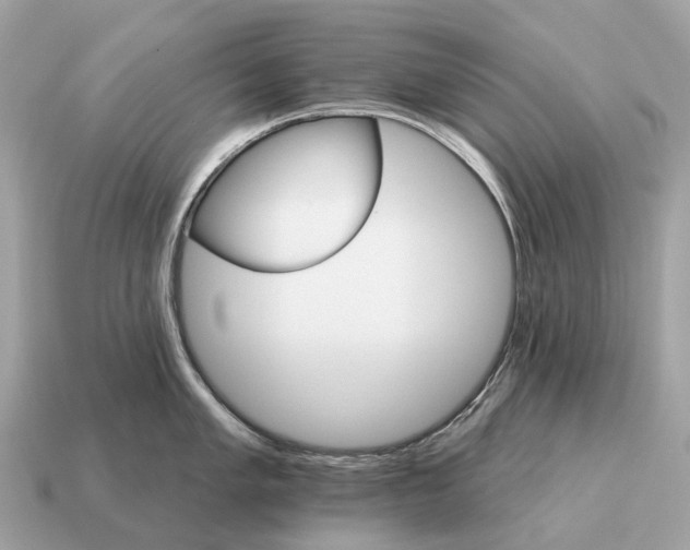 X0000115131005200911101643