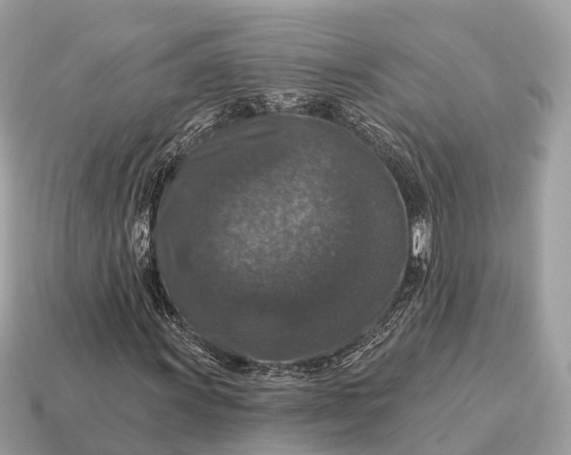 X0000115131011200911101642
