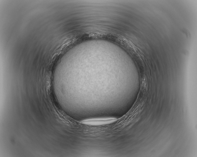 X0000115131012200911101642