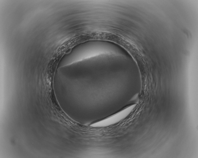 X0000115131013200911101642
