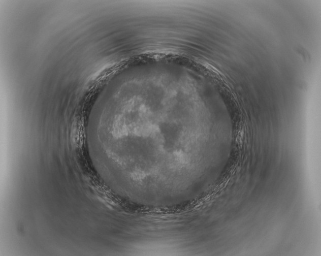 X0000115131014200911101642