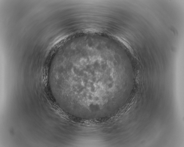 X0000115131015200911101642