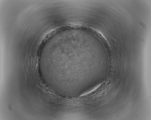 X0000115131016200911101642