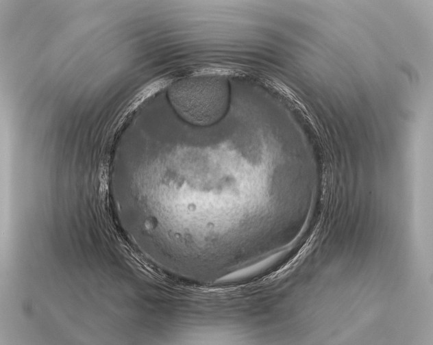 X0000115131017200911101642