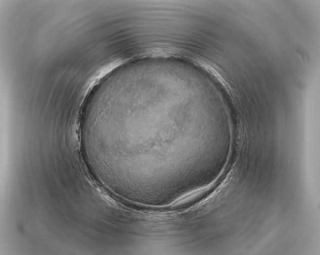 X0000115131018200911101642
