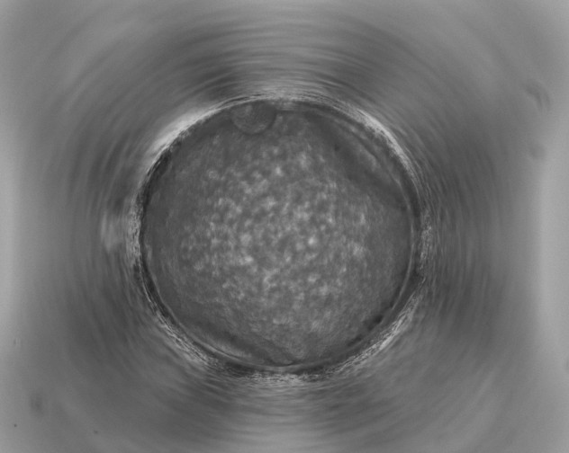 X0000115131019200911101642