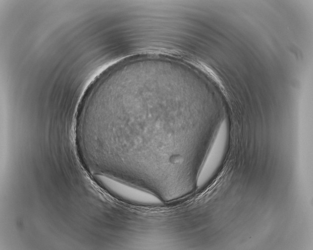 X0000115131020200911101642