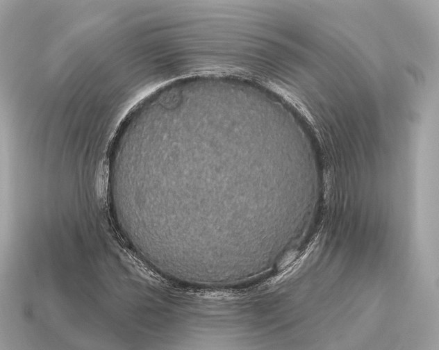 X0000115131021200911101642