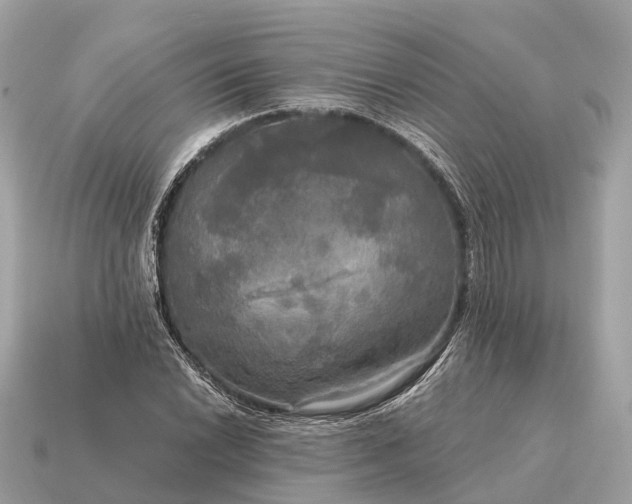 X0000115131022200911101642