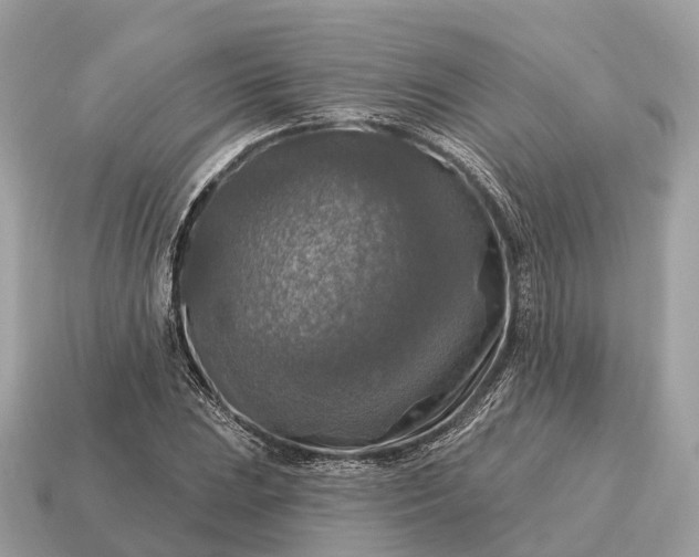 X0000115131023200911101642