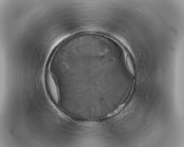 X0000115131024200911101642
