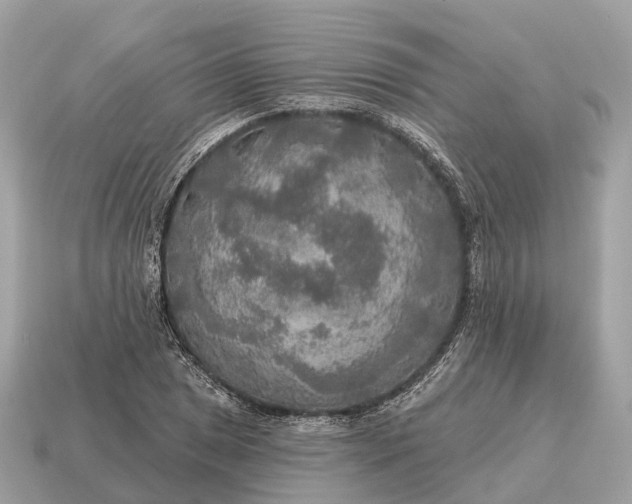 X0000115131025200911101642