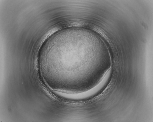 X0000115131026200911101642
