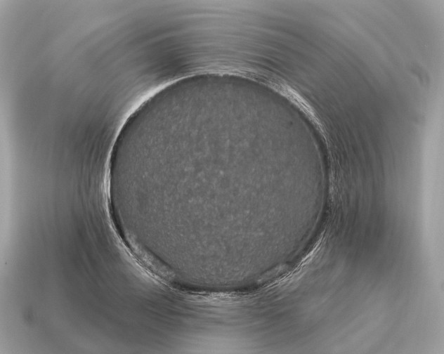 X0000115131028200911101642
