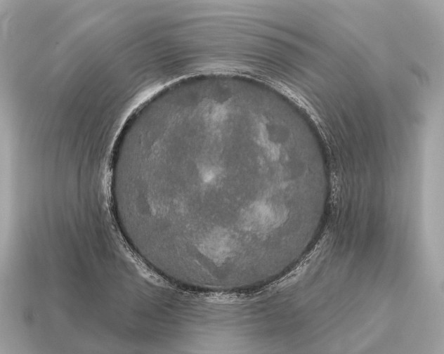 X0000115131029200911101642