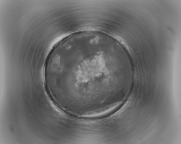 X0000115131030200911101642