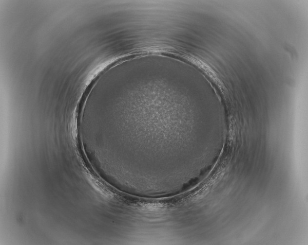 X0000115131031200911101642
