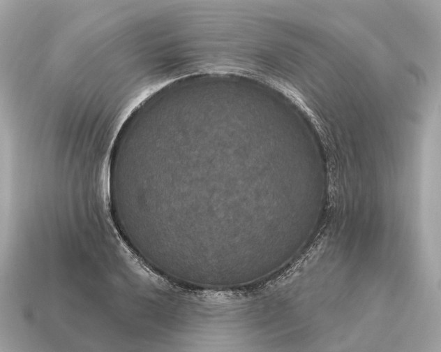 X0000115131032200911101643