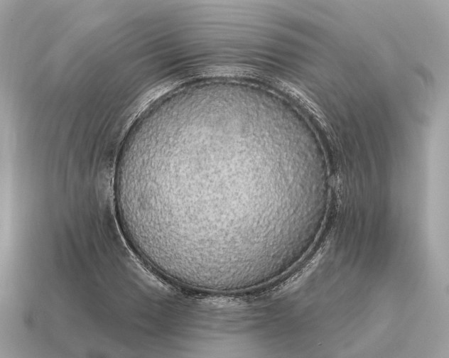 X0000115131033200911101643