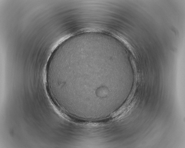 X0000115131034200911101643
