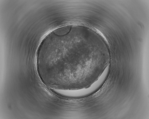 X0000115131035200911101643