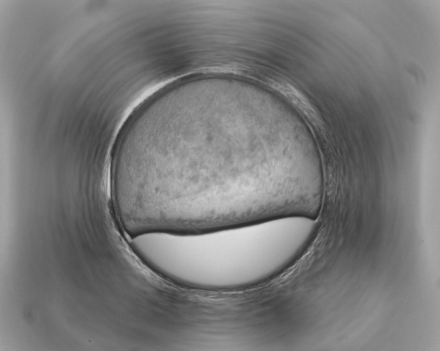X0000115131036200911101643