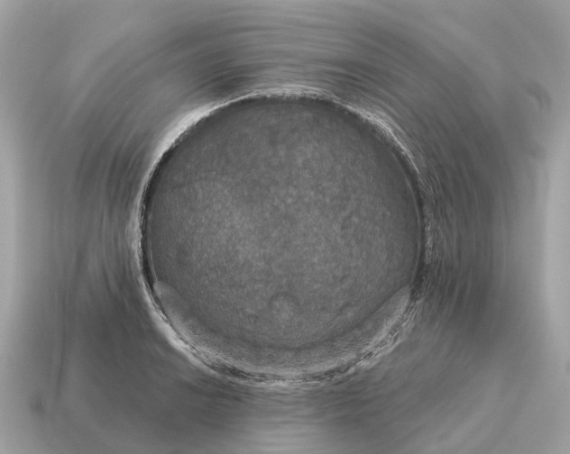X0000115131038200911101643