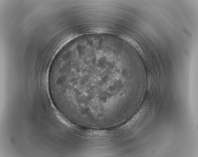X0000115131039200911101643