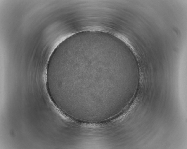 X0000115131040200911101643
