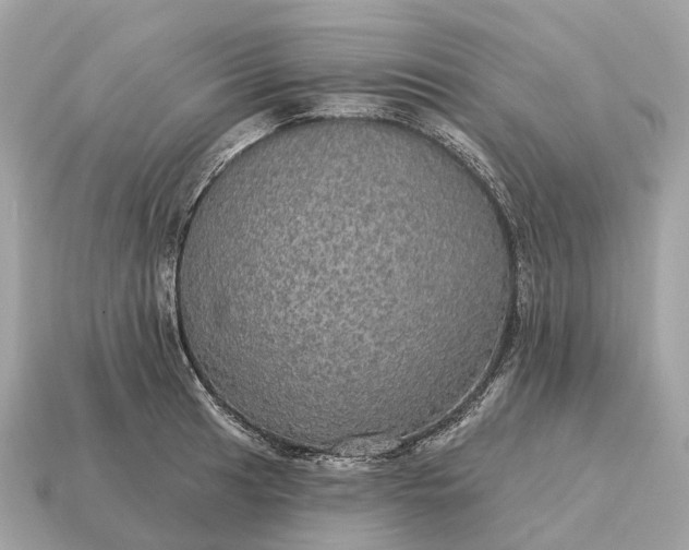 X0000115131041200911101643