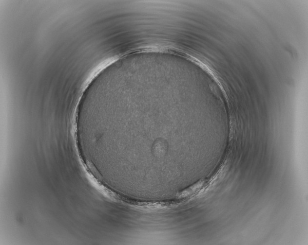 X0000115131042200911101643
