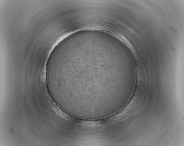 X0000115131044200911101643