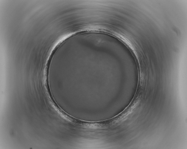 X0000115131045200911101643
