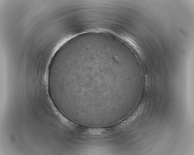 X0000115131046200911101643