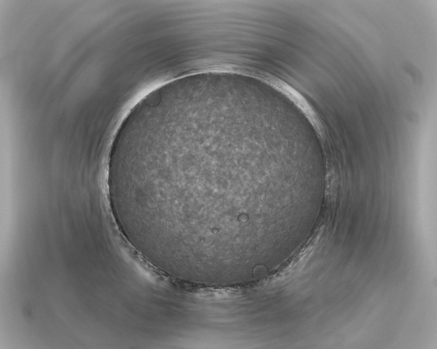 X0000115131051200911101643