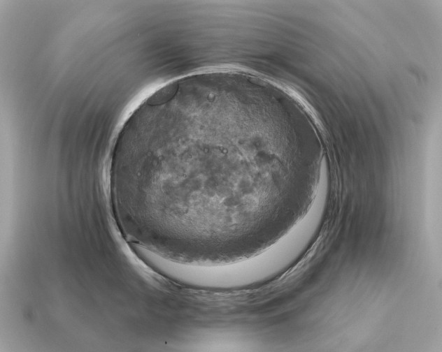 X0000115131054200911101643