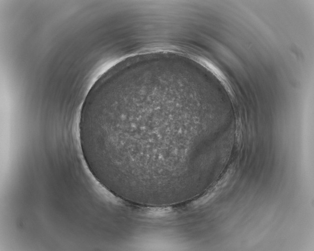 X0000115131055200911101643