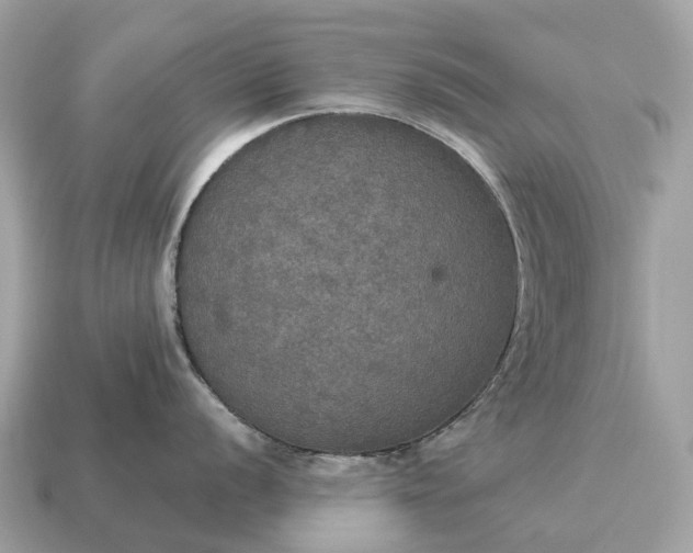 X0000115131056200911101643