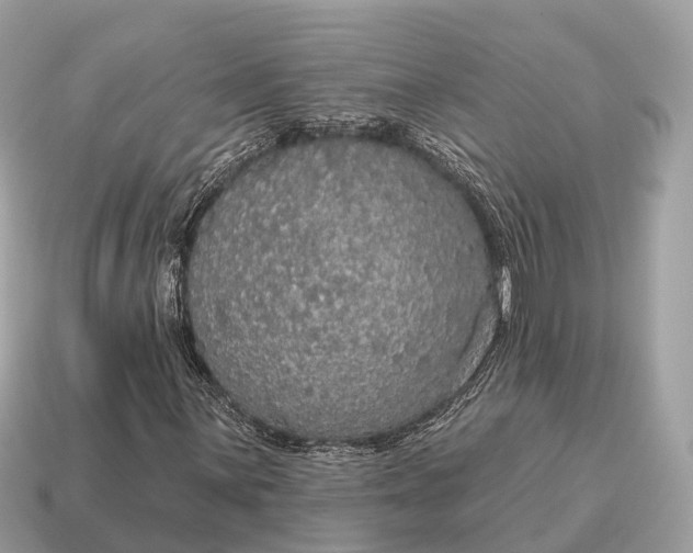 X0000115131059200911101642