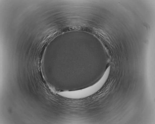X0000115131060200911101642