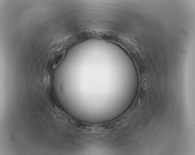 X0000115131061200911101642