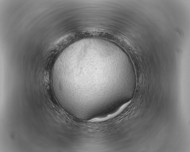 X0000115131062200911101642