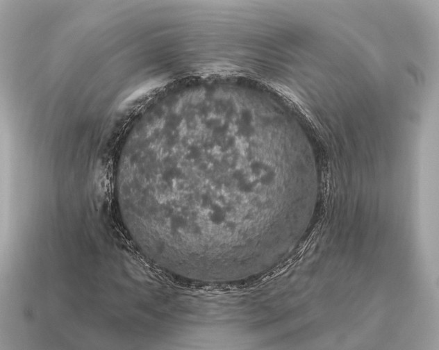 X0000115131063200911101642