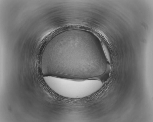 X0000115131064200911101642