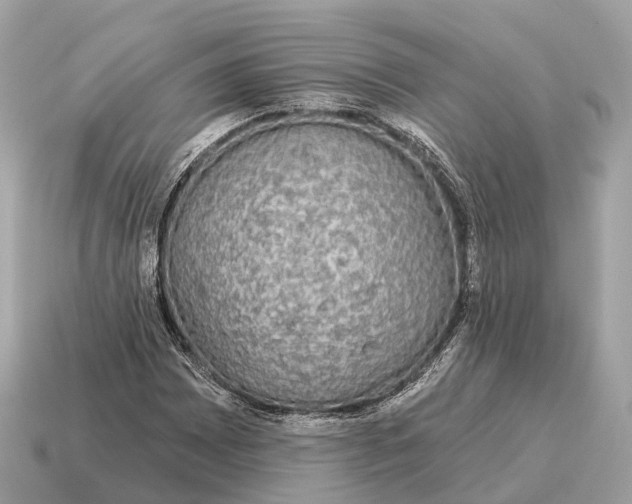 X0000115131065200911101642