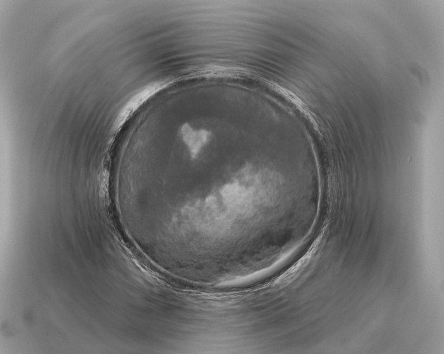 X0000115131066200911101642