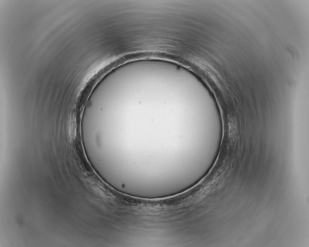 X0000115131069200911101642