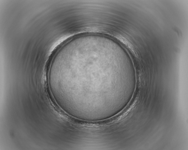 X0000115131070200911101642